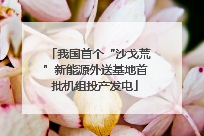 我国首个“沙戈荒”新能源外送基地首批机组投产发电
