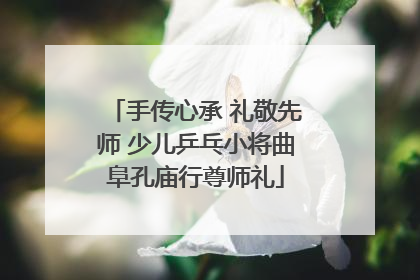 手传心承 礼敬先师 少儿乒乓小将曲阜孔庙行尊师礼