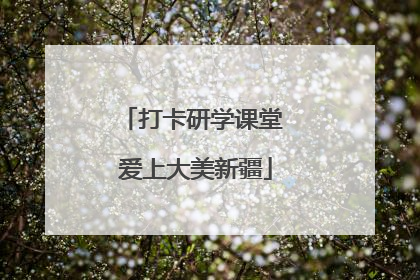 打卡研学课堂 爱上大美新疆