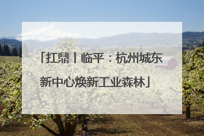 扛鼎丨临平：杭州城东新中心焕新工业森林