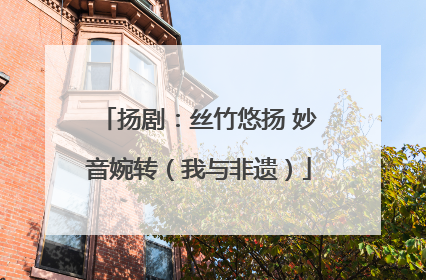 扬剧：丝竹悠扬 妙音婉转（我与非遗）