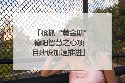 抢抓“黄金期” 德阳智慧之心项目建设加速推进