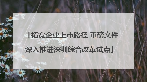 拓宽企业上市路径 重磅文件深入推进深圳综合改革试点
