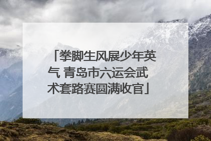 拳脚生风展少年英气 青岛市六运会武术套路赛圆满收官