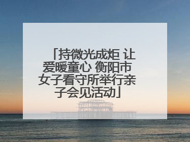 持微光成炬 让爱暖童心 衡阳市女子看守所举行亲子会见活动