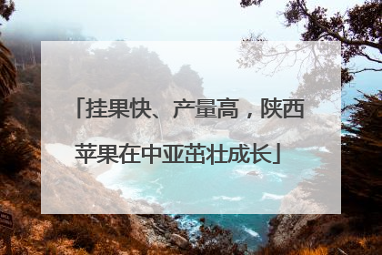 挂果快、产量高，陕西苹果在中亚茁壮成长