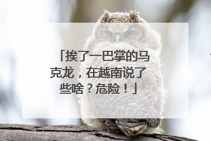 挨了一巴掌的马克龙，在越南说了些啥？危险！