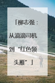 柳志强：从滴滴司机到“红色领头雁”