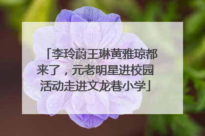 李玲蔚王琳黄雅琼都来了，元老明星进校园活动走进文龙巷小学