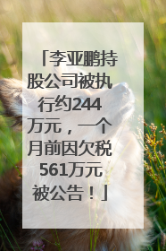李亚鹏持股公司被执行约244万元，一个月前因欠税561万元被公告！