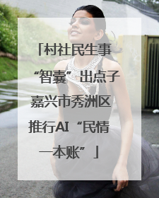 村社民生事 “智囊”出点子 嘉兴市秀洲区推行AI“民情一本账”