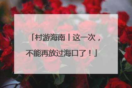 村游海南丨这一次，不能再放过海口了！
