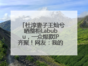杜淳妻子王灿兮晒整柜Labubu，一众爆款IP齐聚！网友：我的 “梦中情柜”