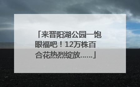 来晋阳湖公园一饱眼福吧！12万株百合花热烈绽放……