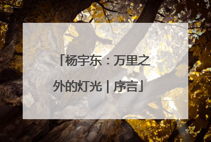 杨宇东：万里之外的灯光｜序言