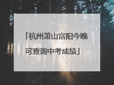杭州萧山富阳今晚可查询中考成绩
