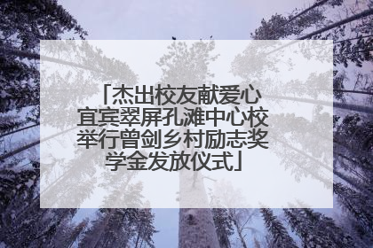 杰出校友献爱心 宜宾翠屏孔滩中心校举行曾剑乡村励志奖学金发放仪式