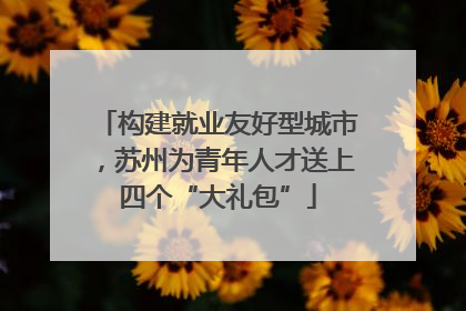 构建就业友好型城市，苏州为青年人才送上四个“大礼包”