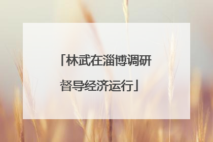 林武在淄博调研督导经济运行