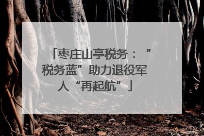 枣庄山亭税务：“税务蓝”助力退役军人“再起航”