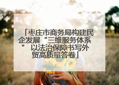 枣庄市商务局构建民企发展“三维服务体系” 以法治保障书写外贸高质量答卷