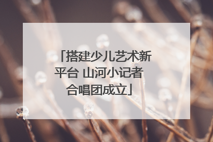 搭建少儿艺术新平台 山河小记者合唱团成立