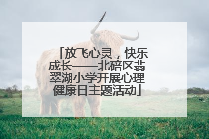 放飞心灵，快乐成长——北碚区翡翠湖小学开展心理健康日主题活动