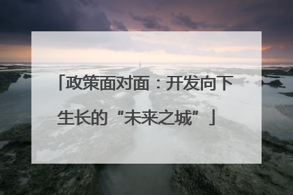 政策面对面：开发向下生长的“未来之城”