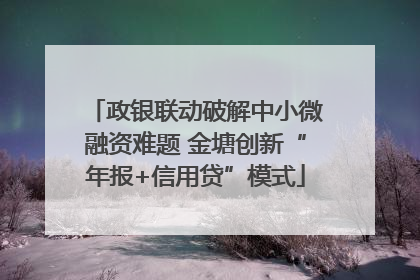 政银联动破解中小微融资难题 金塘创新“年报+信用贷”模式