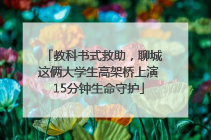 教科书式救助，聊城这俩大学生高架桥上演15分钟生命守护