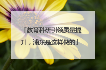 教育科研引领质量提升，浦东是这样做的