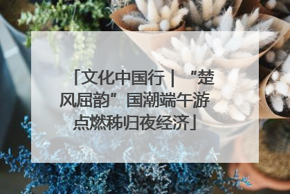 文化中国行｜“楚风屈韵”国潮端午游点燃秭归夜经济