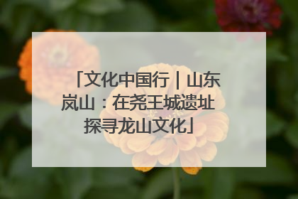 文化中国行｜山东岚山：在尧王城遗址探寻龙山文化
