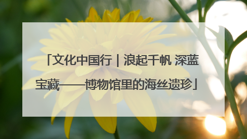 文化中国行｜浪起千帆 深蓝宝藏——博物馆里的海丝遗珍