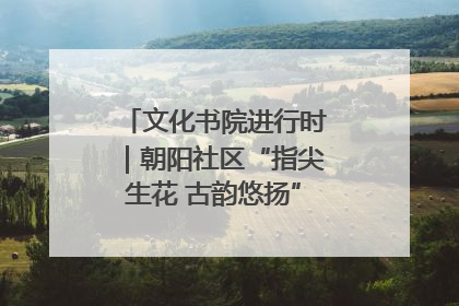 文化书院进行时｜朝阳社区“指尖生花 古韵悠扬”公益课堂开课了