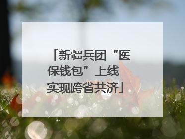 新疆兵团“医保钱包”上线 实现跨省共济
