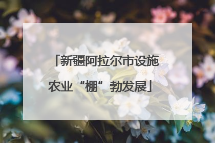 新疆阿拉尔市设施农业“棚”勃发展