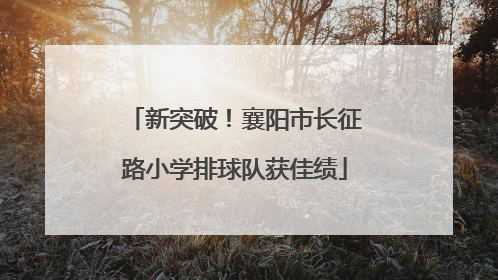 新突破！襄阳市长征路小学排球队获佳绩