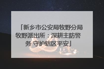 新乡市公安局牧野分局牧野派出所：深耕主防警务 守护辖区平安