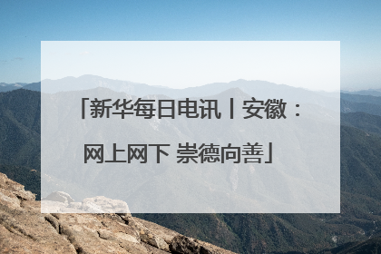 新华每日电讯丨安徽：网上网下 崇德向善