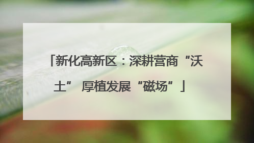 新化高新区：深耕营商“沃土” 厚植发展“磁场”