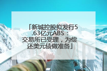 新城控股拟发行5.63亿元ABS：交易所已受理，为偿还美元债做准备