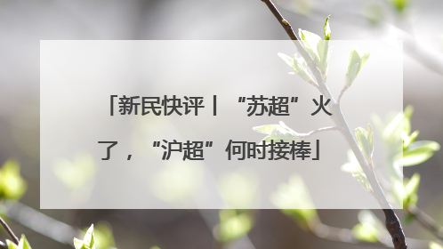 新民快评丨“苏超”火了，“沪超”何时接棒