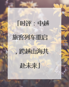 时评：中越旅客列车重启，跨越山海共赴未来