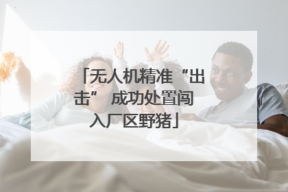 无人机精准“出击” 成功处置闯入厂区野猪