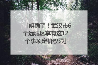 明确了！武汉市6个远城区享有这12个事项定价权限