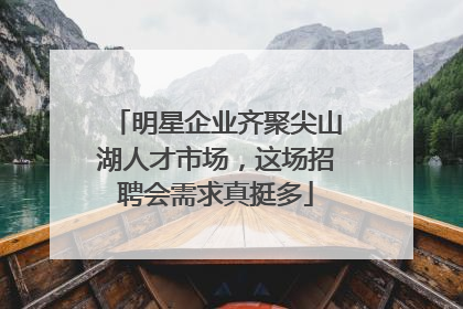 明星企业齐聚尖山湖人才市场，这场招聘会需求真挺多
