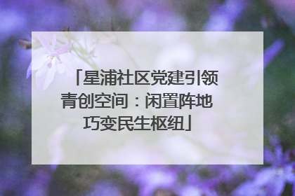 星浦社区党建引领青创空间：闲置阵地巧变民生枢纽