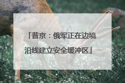 普京：俄军正在边境沿线建立安全缓冲区