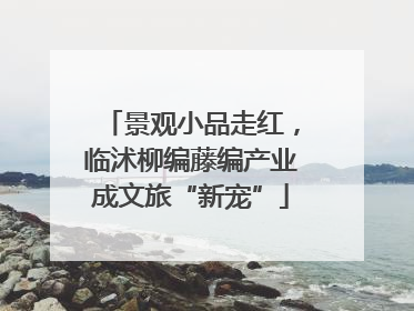 景观小品走红，临沭柳编藤编产业成文旅“新宠”